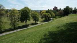 Row of trees on the left at the bottom of a sloping hill