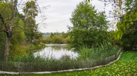 Lake surrounded by trees