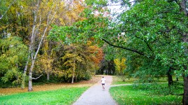 Man runs through park