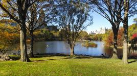 Central Park Lake, New York City