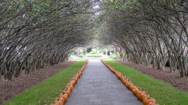 Dallas Arboretum and Botanical Garden, Dallas, TX