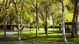 Foothill College