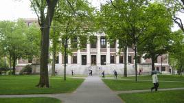 Harvard Yard, Cambridge, MA