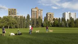 Cheesman Park, Denver, CO