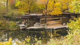 Lily Pool, Lincoln Park, Chicago, IL