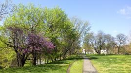 Rock Creek Park, Washington, D.C.