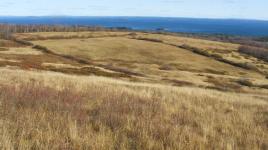 Beech Nut and Beech Hill, Rockport, ME