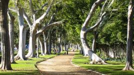 Beverly Gardens Park, Los Angeles, CA