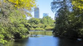 Back Bay Fens, Emerald Necklace, Boston, MA