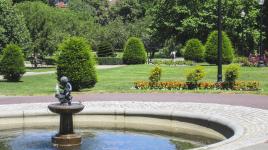 Boston Public Garden