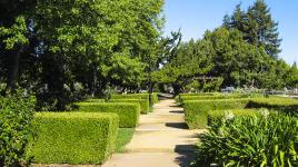 Bowden Park, Palo Alto, CA
