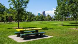 Mestizo-Curtis Park, Denver, CO