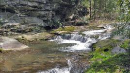 Fallingwater, Mill Run, PA