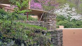 Fallingwater, Mill Run, PA