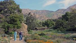 Santa Barbara Botanic Garden, CA