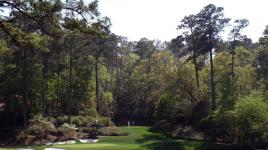 Augusta National Golf Club, Augusta , GA