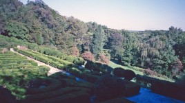 Gunston Hall Plantation, Lorton, VA