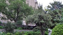 Washington National Cathedral, Washington, DC