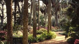Bok Tower Gardens, Lake Wales, FL