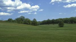 Emerald Necklace