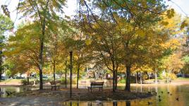 Southwest Duck Pond, Washington, DC 