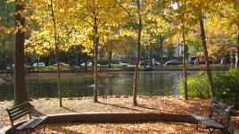 Southwest Duck Pond, Washington, DC 