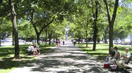 Commonwealth Avenue Mall