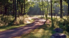 Camden Hills State Park - Lower Sagamore Village, Camden, ME