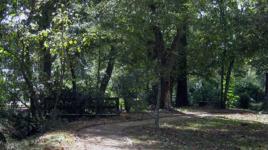 Photo by Pete Newton, courtesy of Reed Hildebrand::2010::The Cultural Landscape Foundation