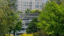 Kaiser Center Roof Garden, Oakland, CA