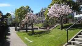 St. Francis Square, San Francisco, CA