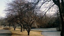 Forest Hills Cemetery, Jamaica Plain, MA 