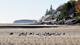 Reid State Park, Georgetown, ME