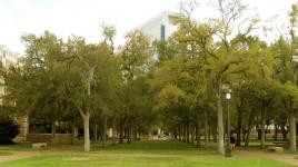 Rice University, Houston, TX 
