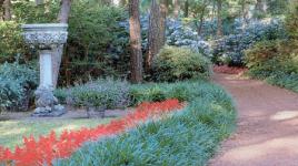 Elizabethan Gardens, Manteo, NC