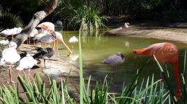 Photo by Amanda Shull::2011::The Cultural Landscape Foundation