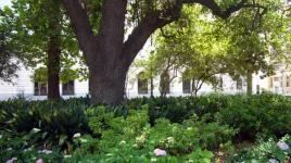 Lafayette Square, New Orleans, LA