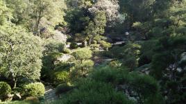 Hannah Carter Japanese Garden, Los Angeles, CA 