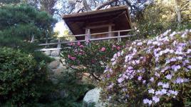 Hannah Carter Japanese Garden, Los Angeles, CA 