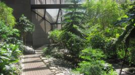 Ford Foundation Atrium, New York, NY