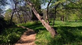 Dumbarton Oaks Park, Washington, DC