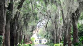 Mountain Lake, Lake Wales, FL 