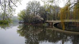 Photo by Central Park Conservancy::2009::The Cultural Landscape Foundation