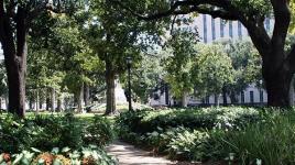 Lafayette Square, New Orleans, LA