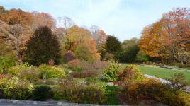 Arnold Arboretum, Boston, MA