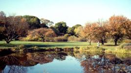 Arnold Arboretum, Boston, MA