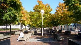 City Hall Plaza, Boston