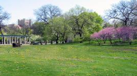 Garfield Park, Chicago, IL