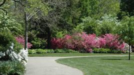 Azalea Garden, Fairmount Park, Philadelphia, PA