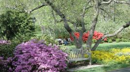 Azalea Garden, Fairmount Park, Philadelphia, PA